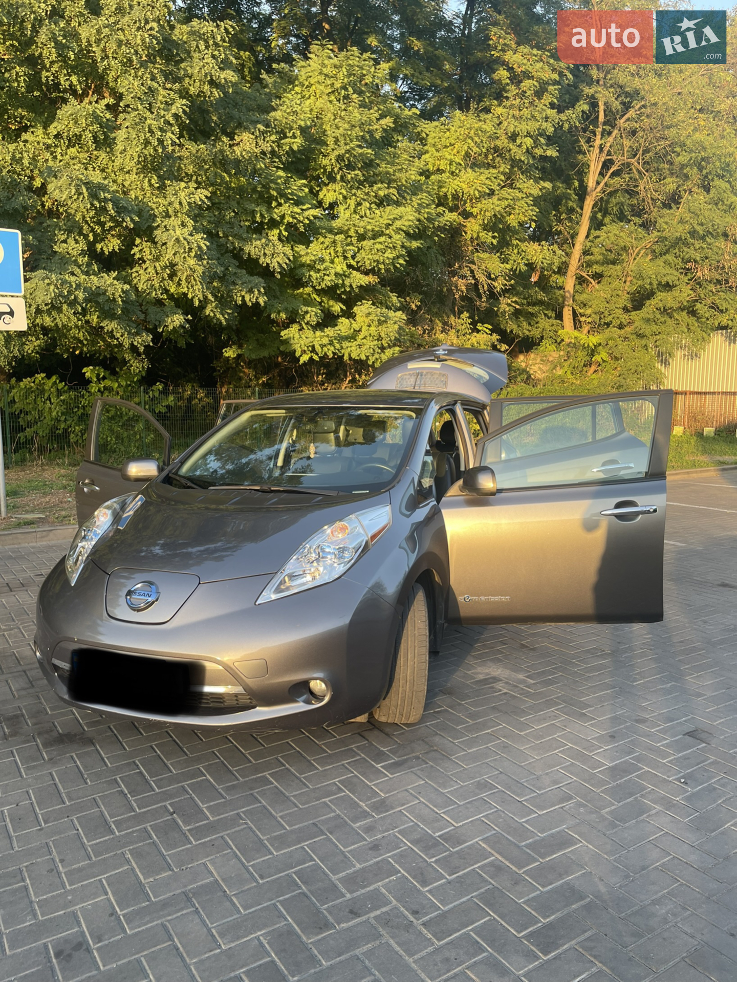 2014 Nissan Leaf - мініатюра 6