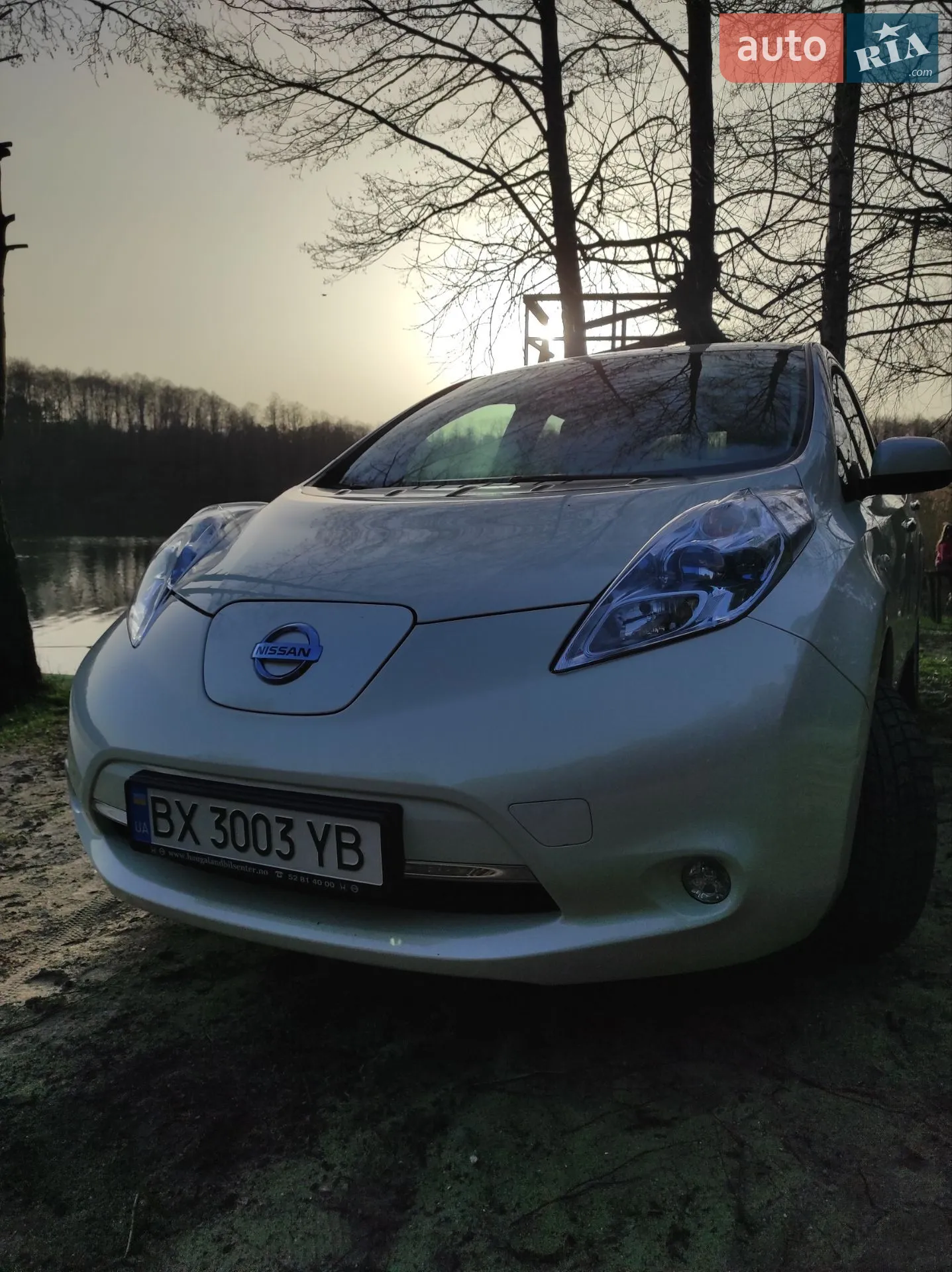 2012 Nissan Leaf - фото 1
