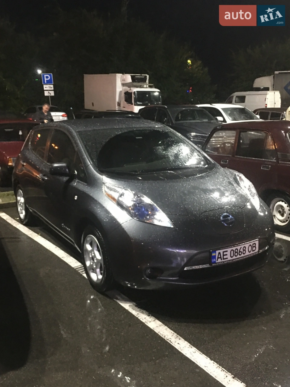2014 Nissan Leaf - мініатюра 25
