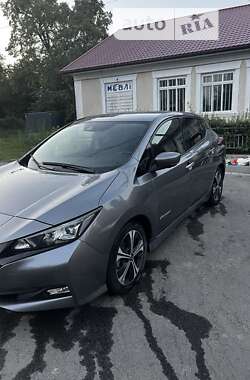 Хетчбек Nissan Leaf 2018 в Сокирянах