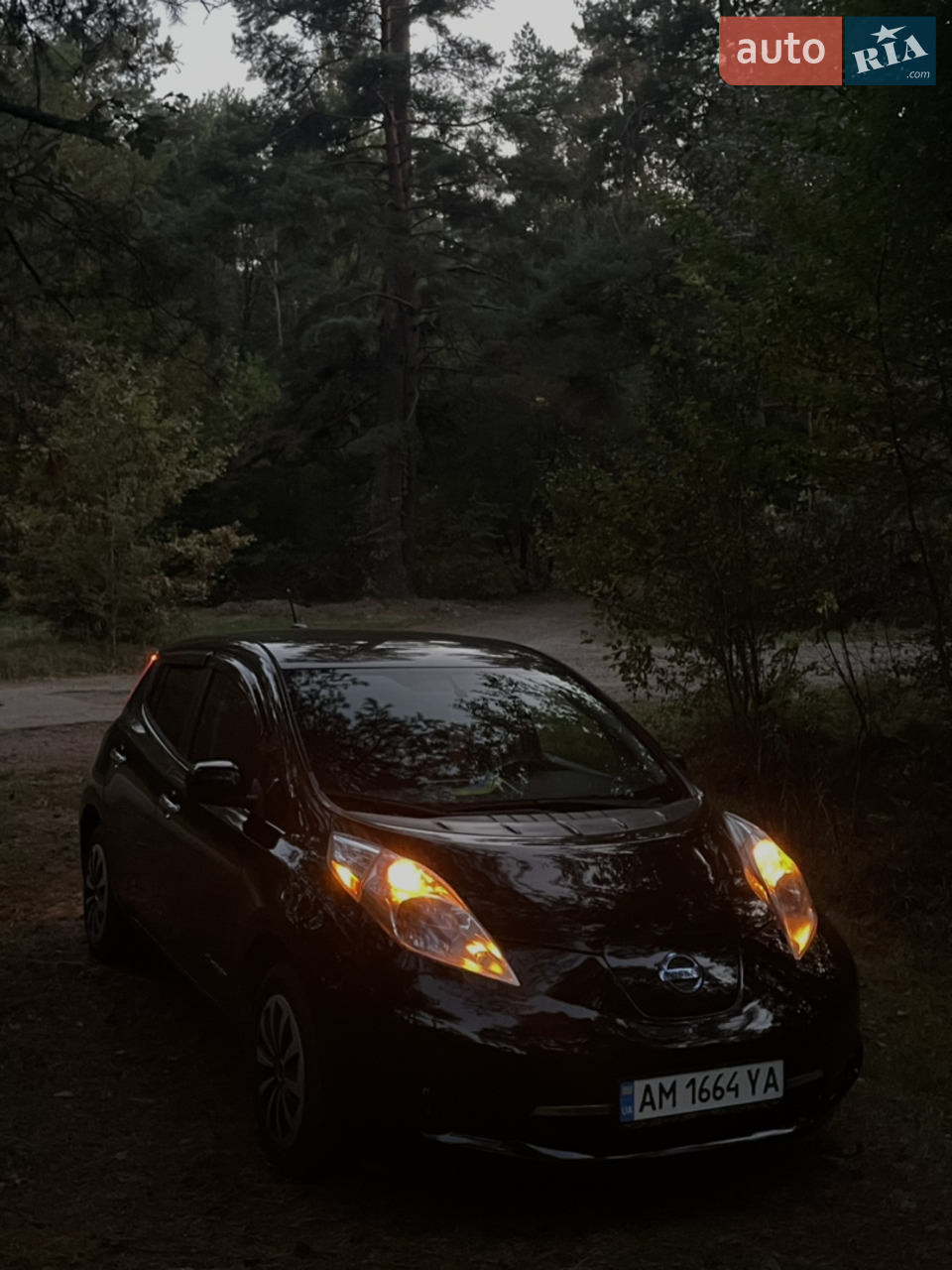 2015 Nissan Leaf - мініатюра 8