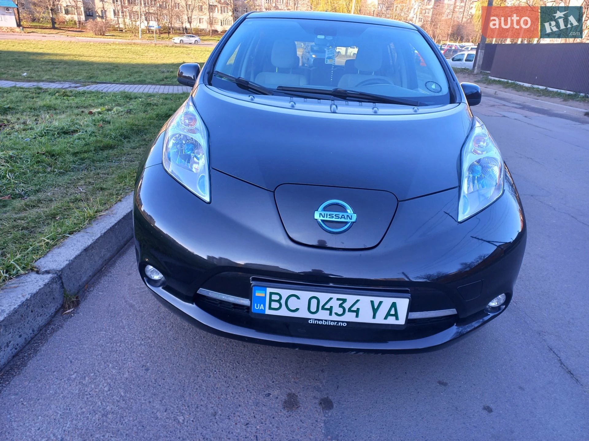 2013 Nissan Leaf - фото 1