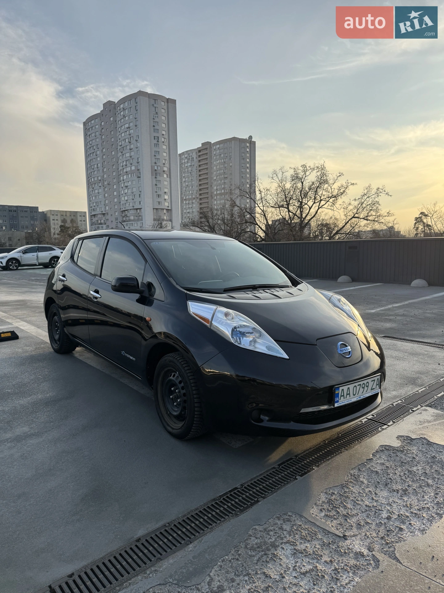 2013 Nissan Leaf - фото 1