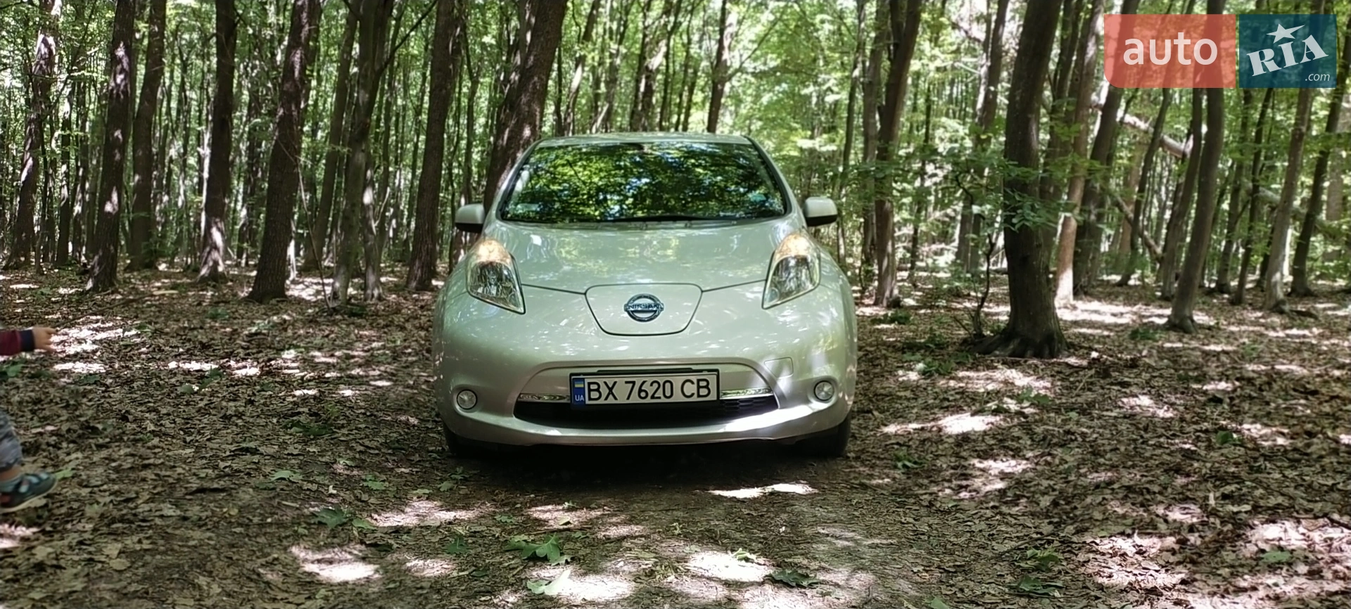 2014 Nissan Leaf - мініатюра 3