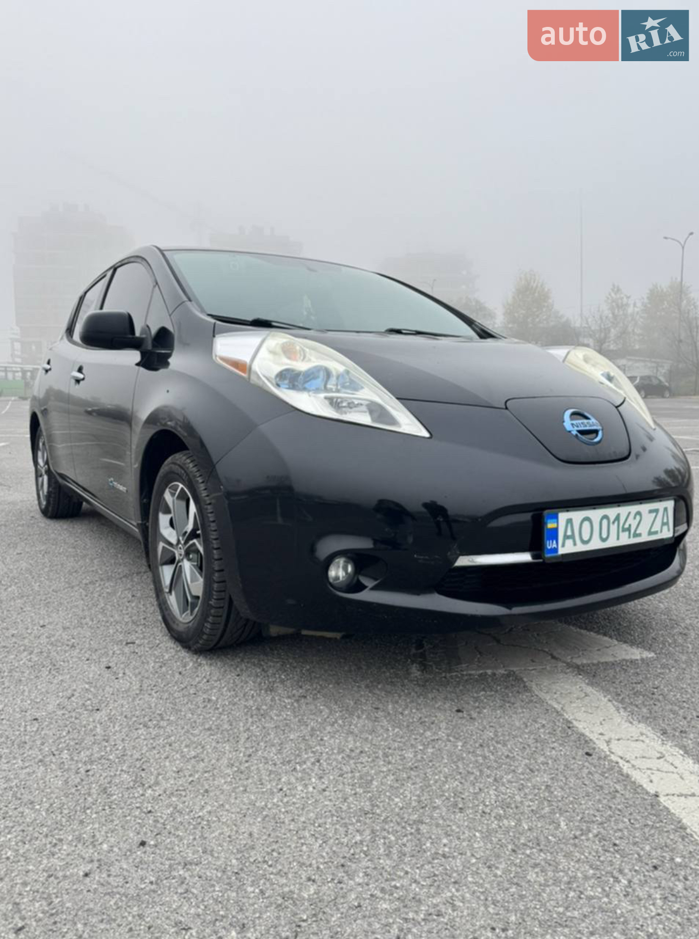 2013 Nissan Leaf - мініатюра 5