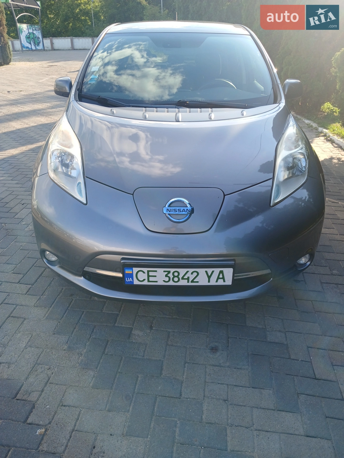 2014 Nissan Leaf - мініатюра 9