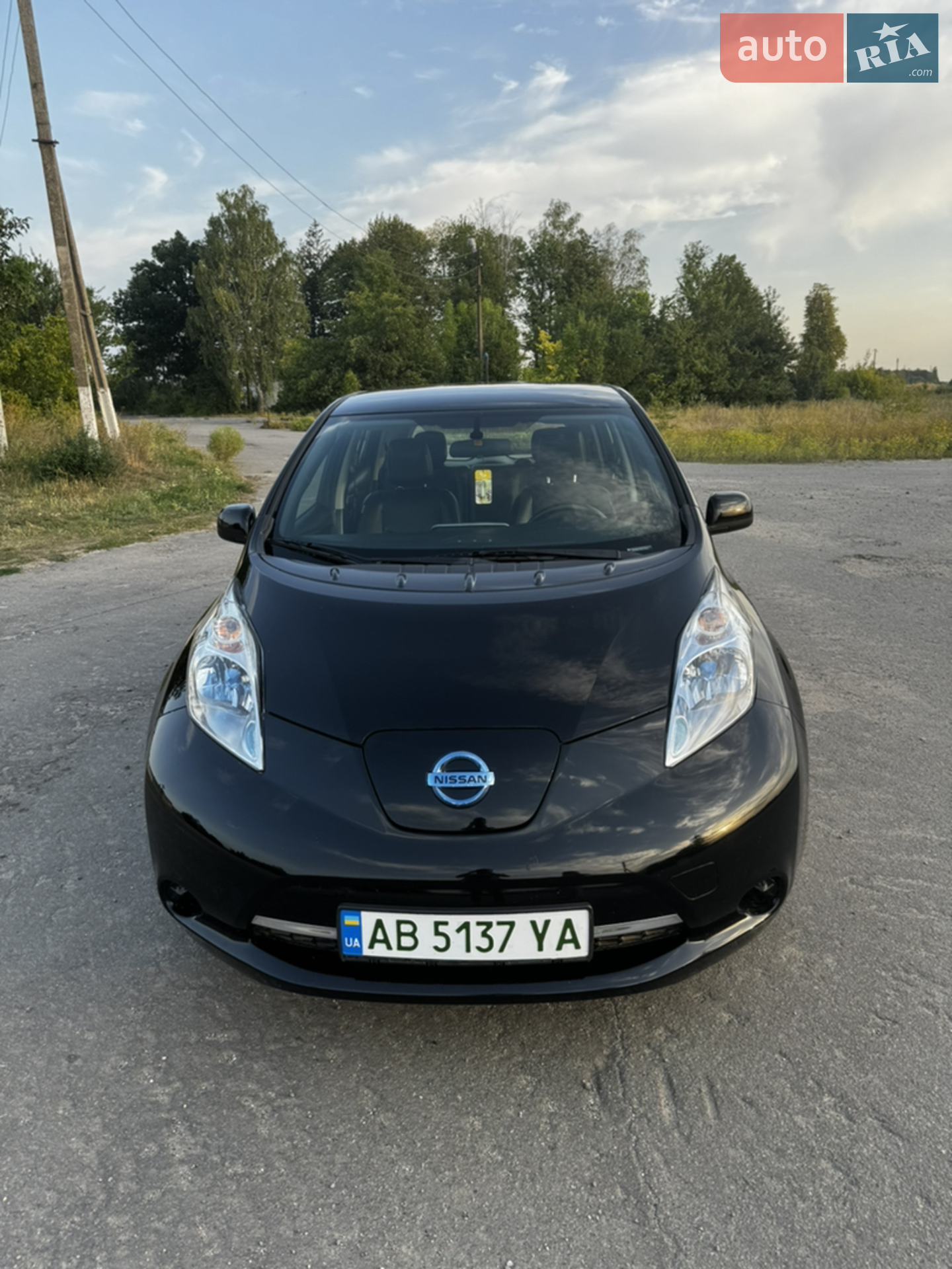2013 Nissan Leaf - мініатюра 2