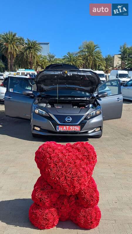 Nissan Leaf 2020