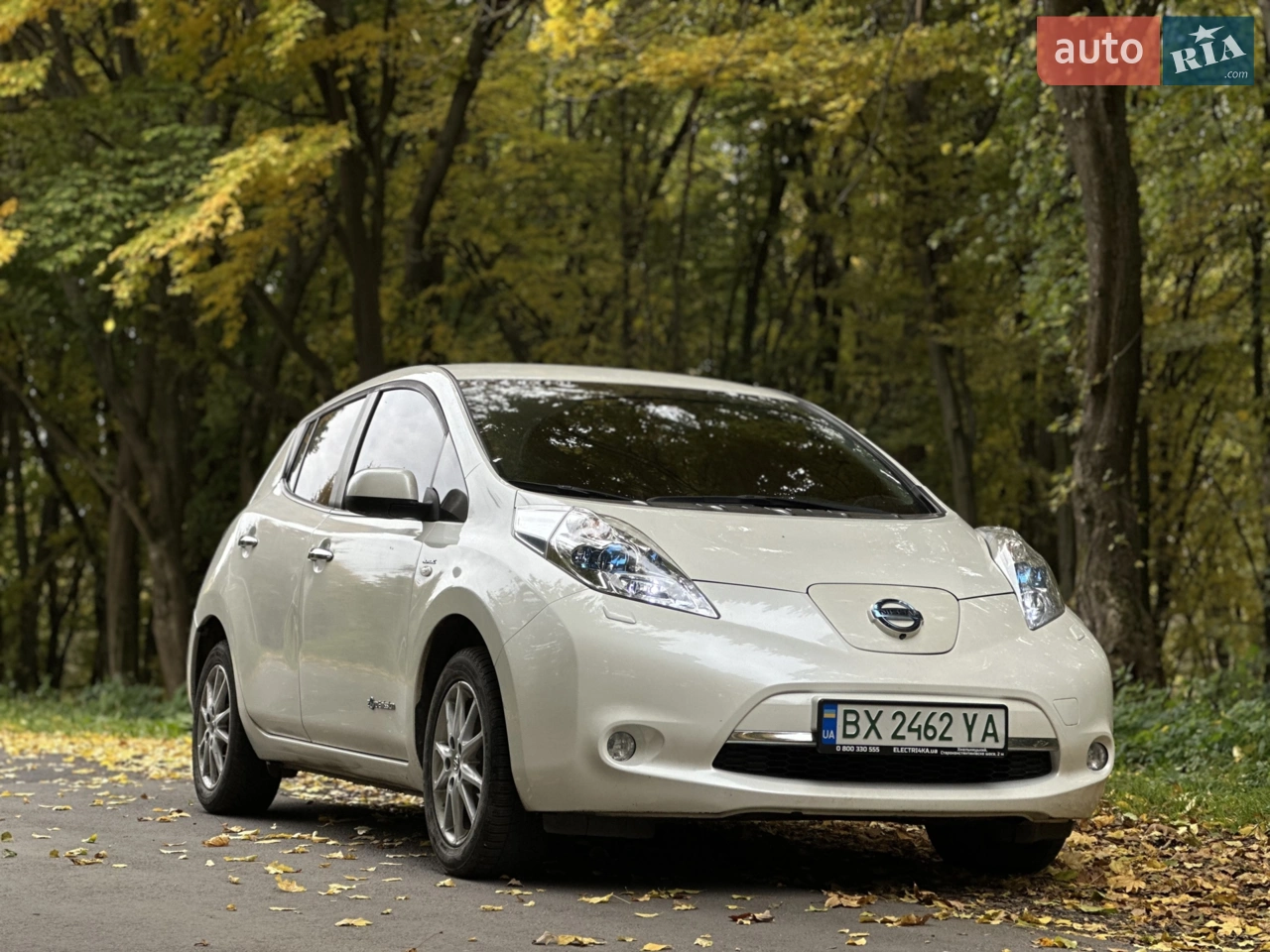 2013 Nissan Leaf - мініатюра 18