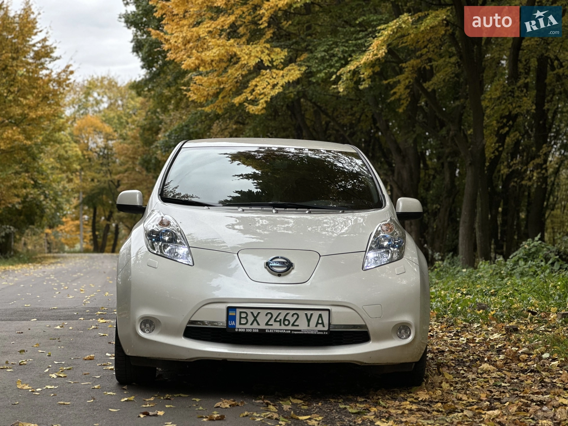 2014 Nissan Leaf - мініатюра 2