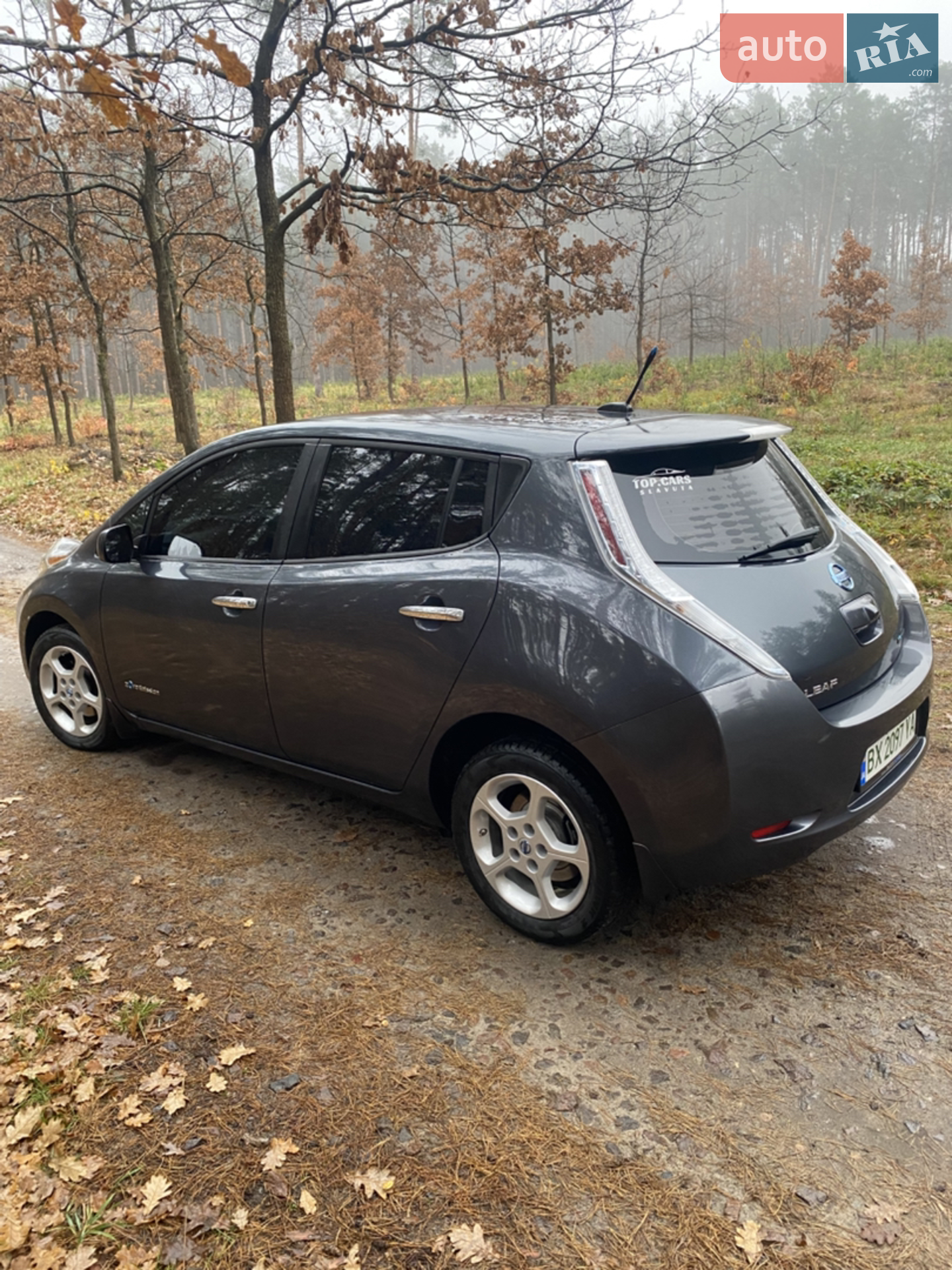 2013 Nissan Leaf - мініатюра 9