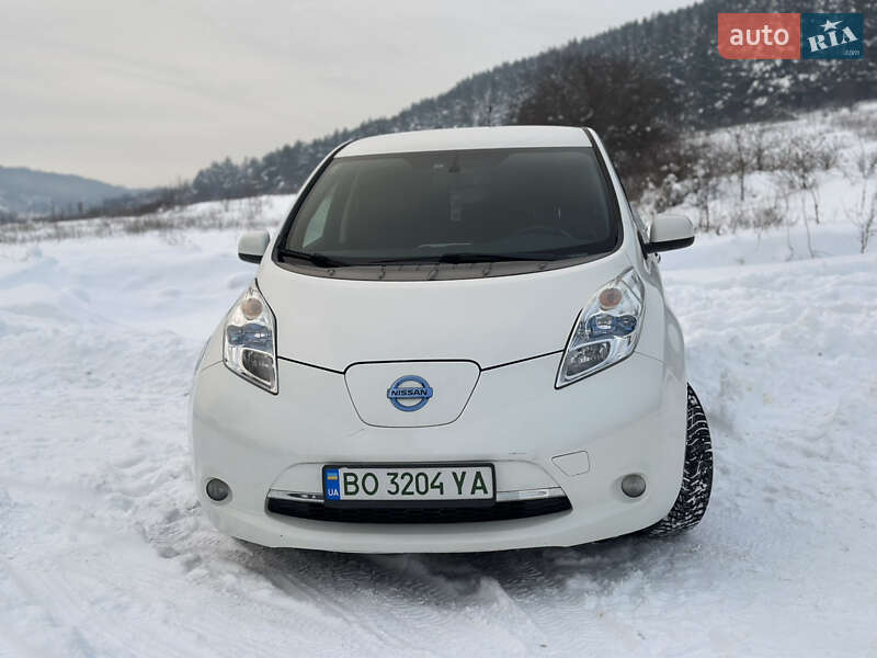 Хэтчбек Nissan Leaf 2013 в Бережанах