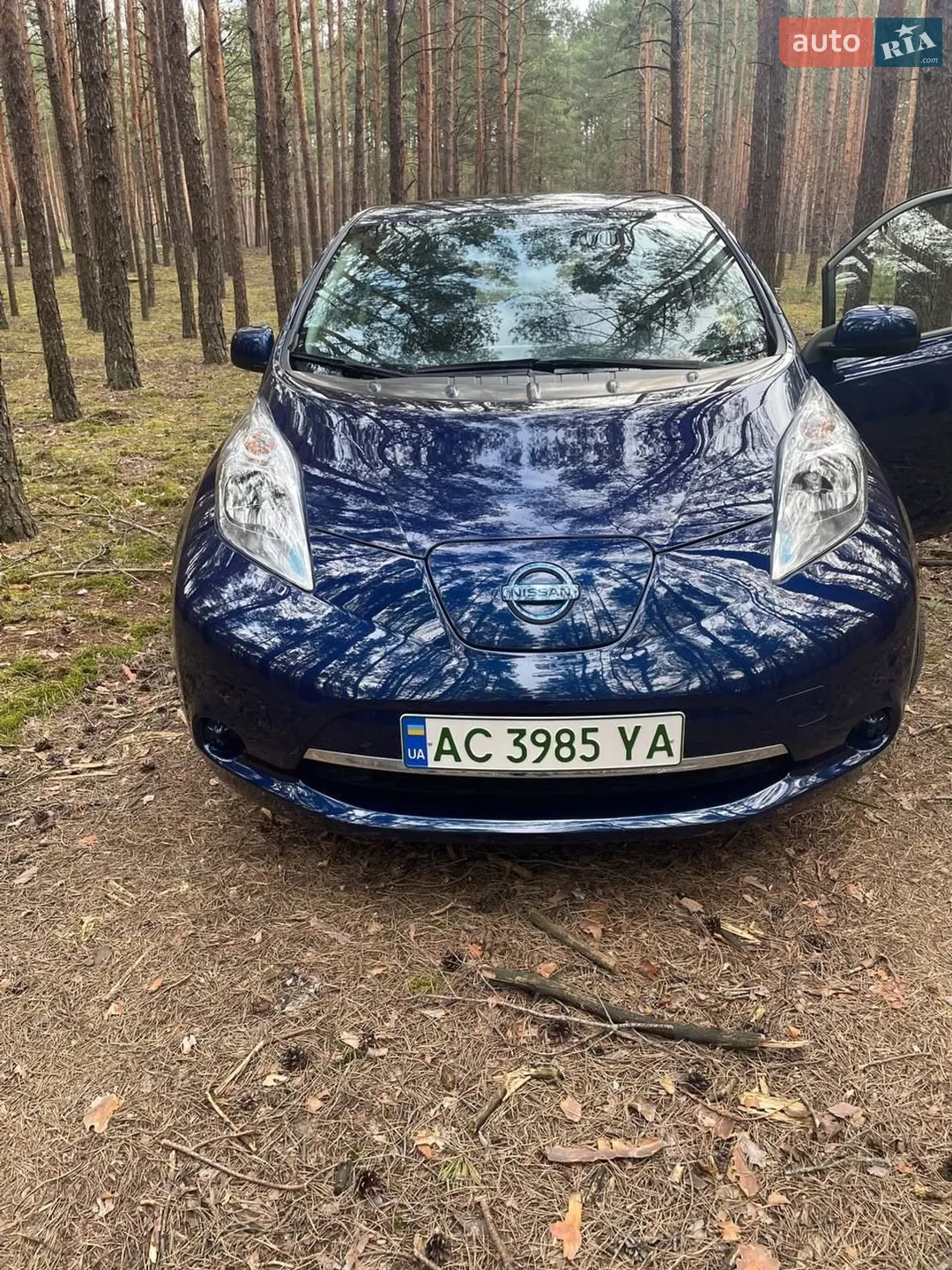 2017 Nissan Leaf - фото 1