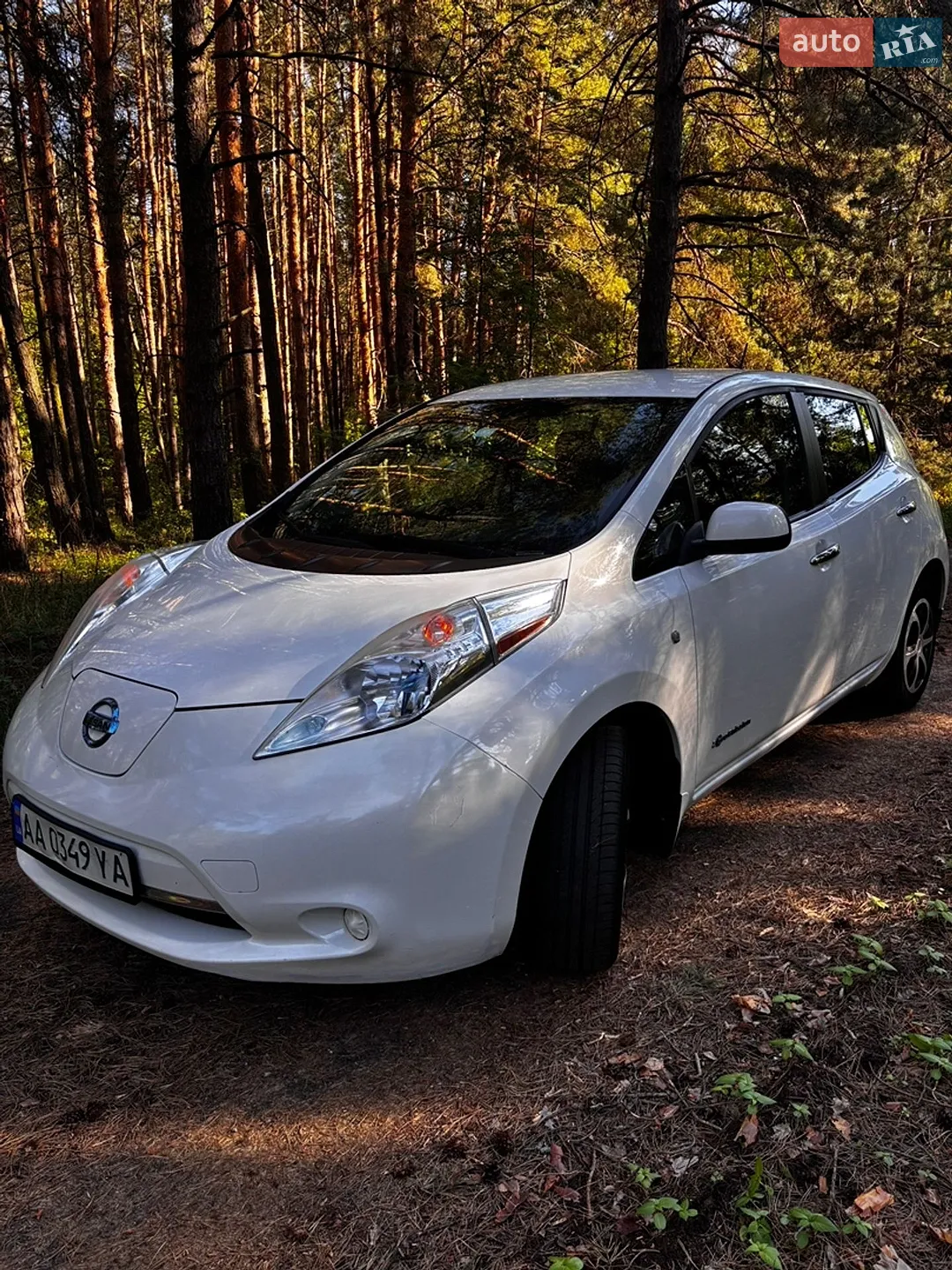 2014 Nissan Leaf - мініатюра 3