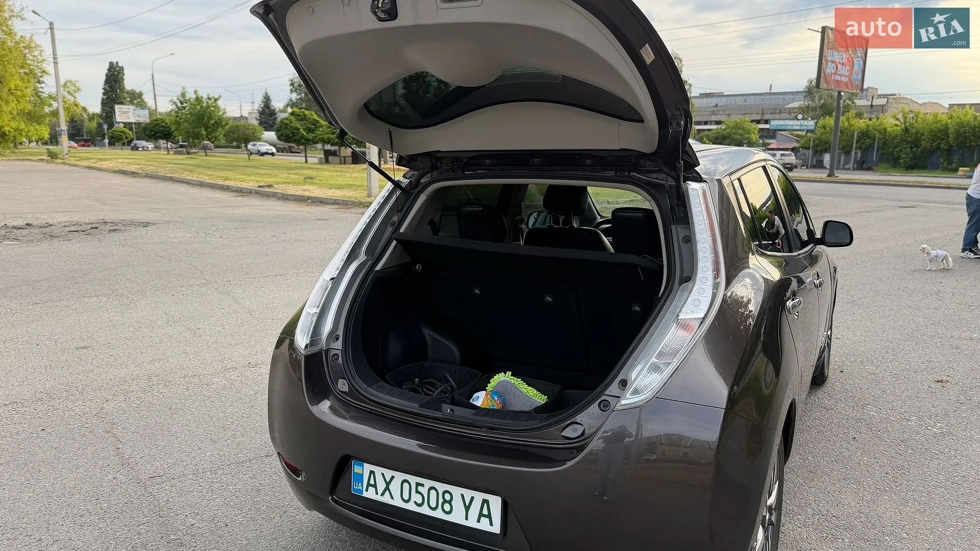 2015 Nissan Leaf - мініатюра 21
