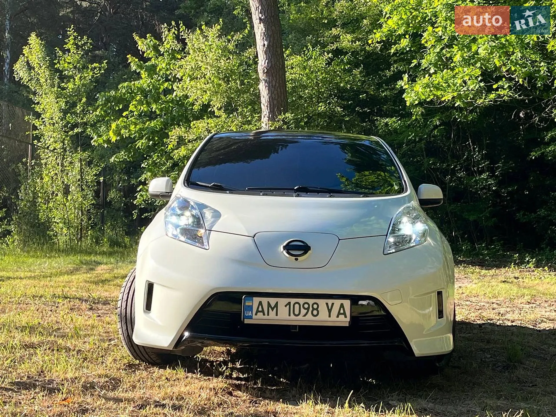 2012 Nissan Leaf - мініатюра 2