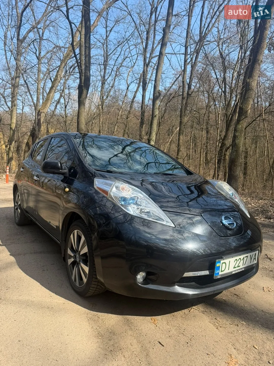 2014 Nissan Leaf - фото 1