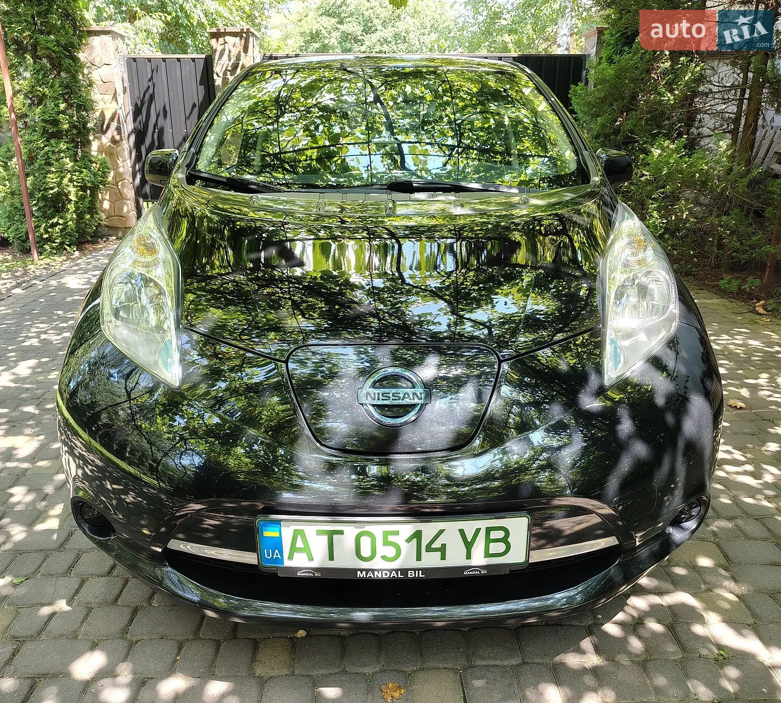 2014 Nissan Leaf - мініатюра 3