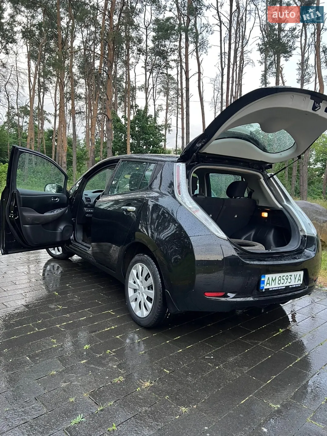 2015 Nissan Leaf - мініатюра 12