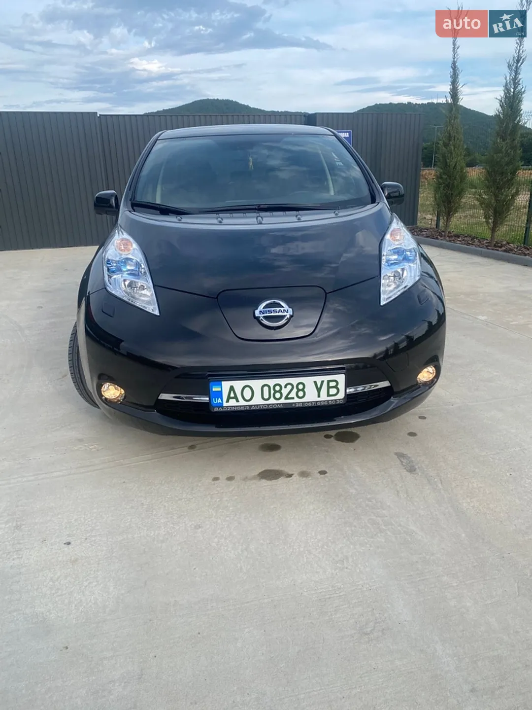 2015 Nissan Leaf - мініатюра 9