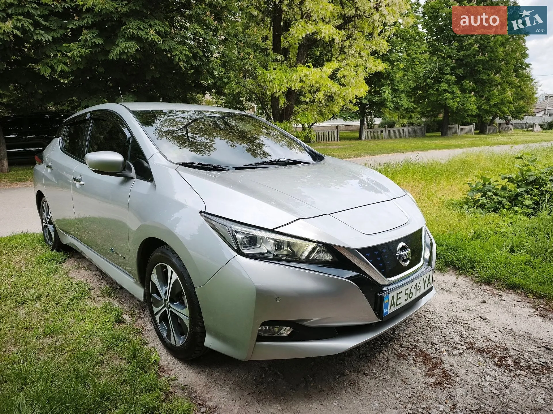 2019 Nissan Leaf - фото 1