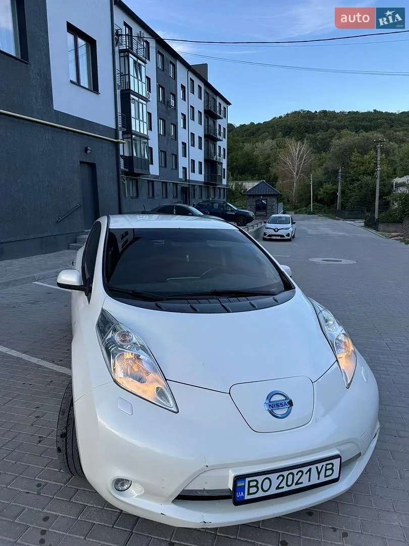 2013 Nissan Leaf - фото 1