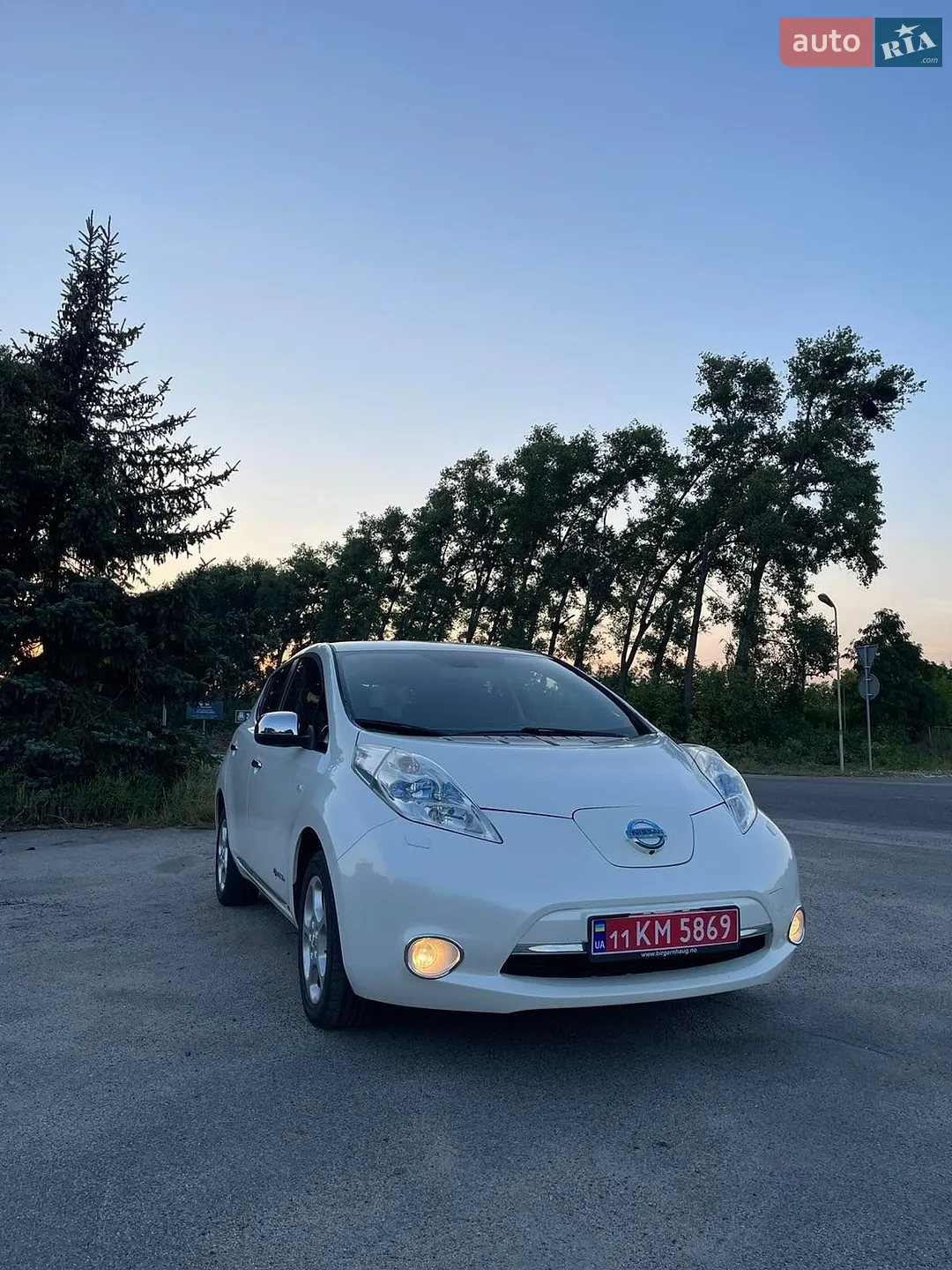 2014 Nissan Leaf - мініатюра 5