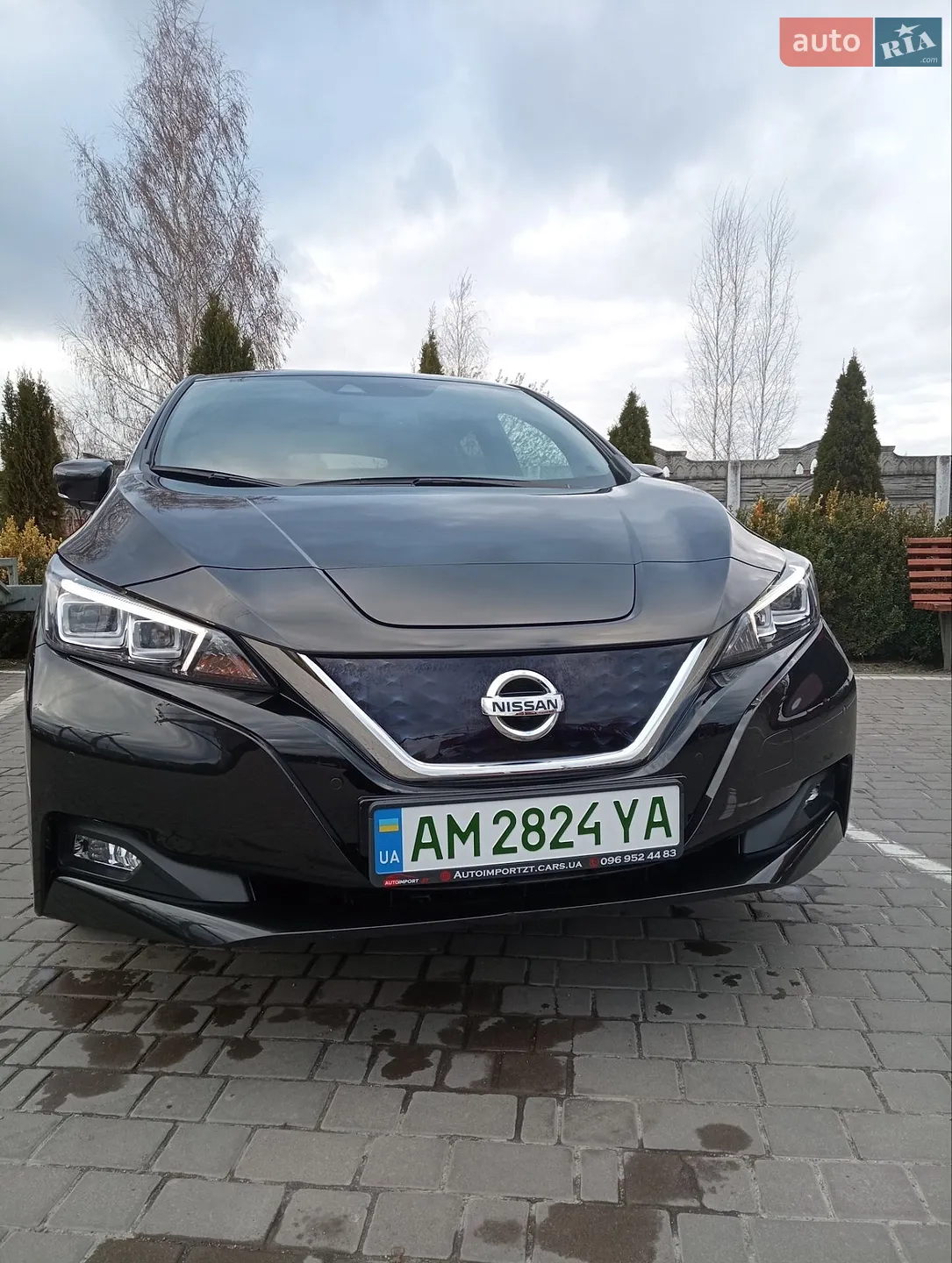 2021 Nissan Leaf - фото 1