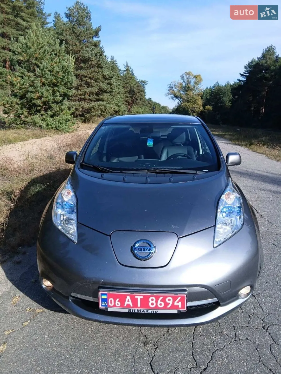 2013 Nissan Leaf - фото 1
