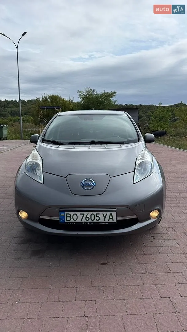 2014 Nissan Leaf - фото 1