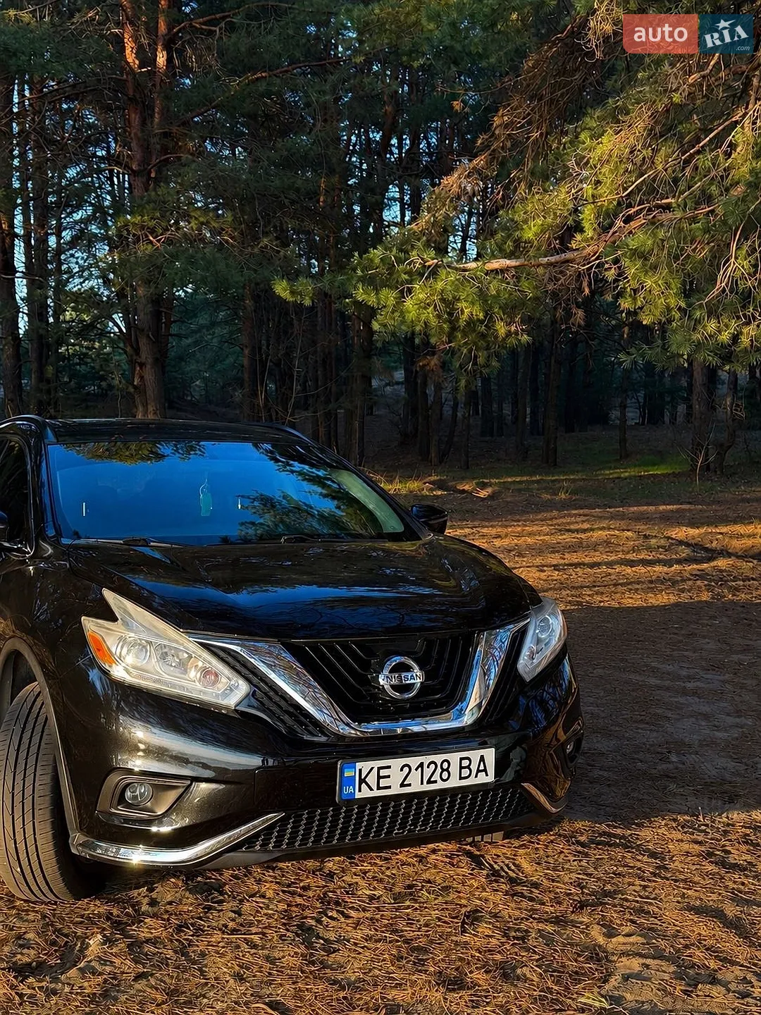 2016 Nissan Murano - мініатюра 30