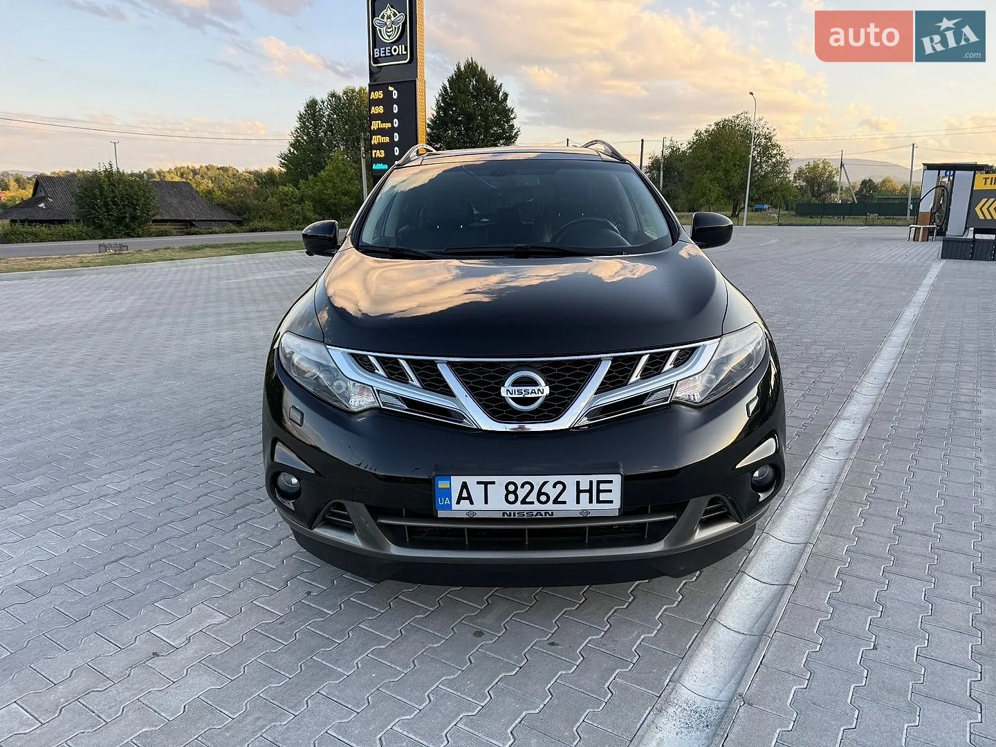 2010 Nissan Murano - мініатюра 2