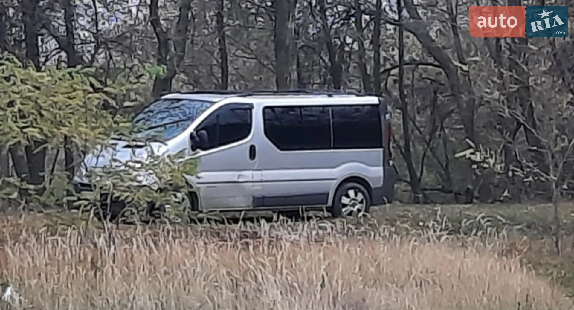 2010 Nissan Primastar - мініатюра 2