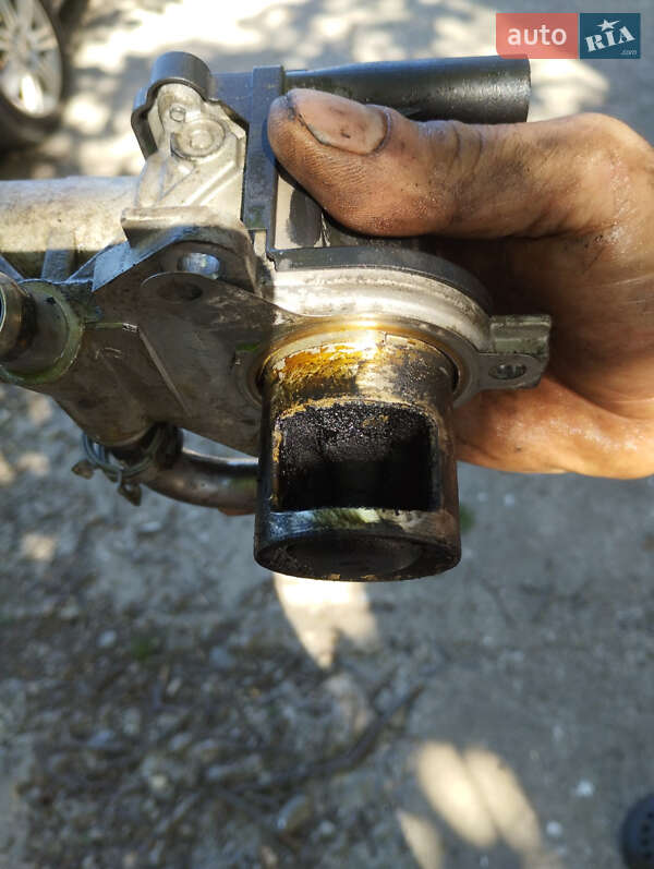 Позашляховик / Кросовер Nissan Qashqai 2011 в Івано-Франківську