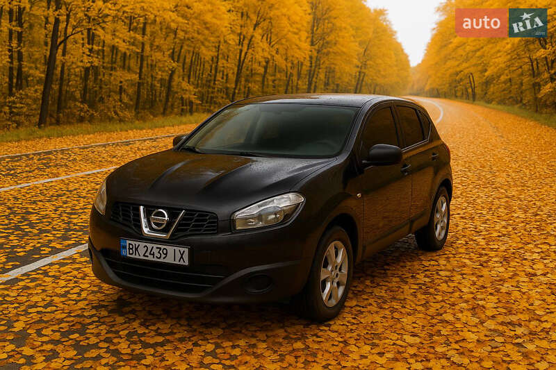 Nissan Qashqai 2010 Nissan Qashqai 2010