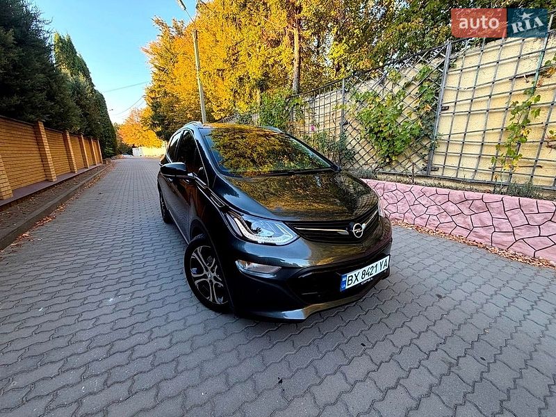 2019 Opel Ampera-E, VIN W0VF86E05K4144286:plate — zdjęcie 1 (autoria)
