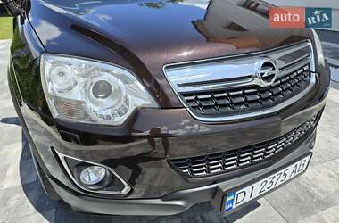 Внедорожник / Кроссовер Opel Antara 2014 в 