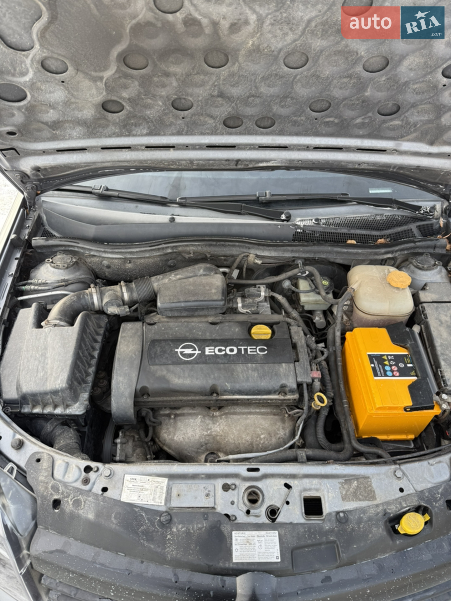 Opel Astra 2004 VIN W0L0AHL3552027969 фото оголошення 13 з 14