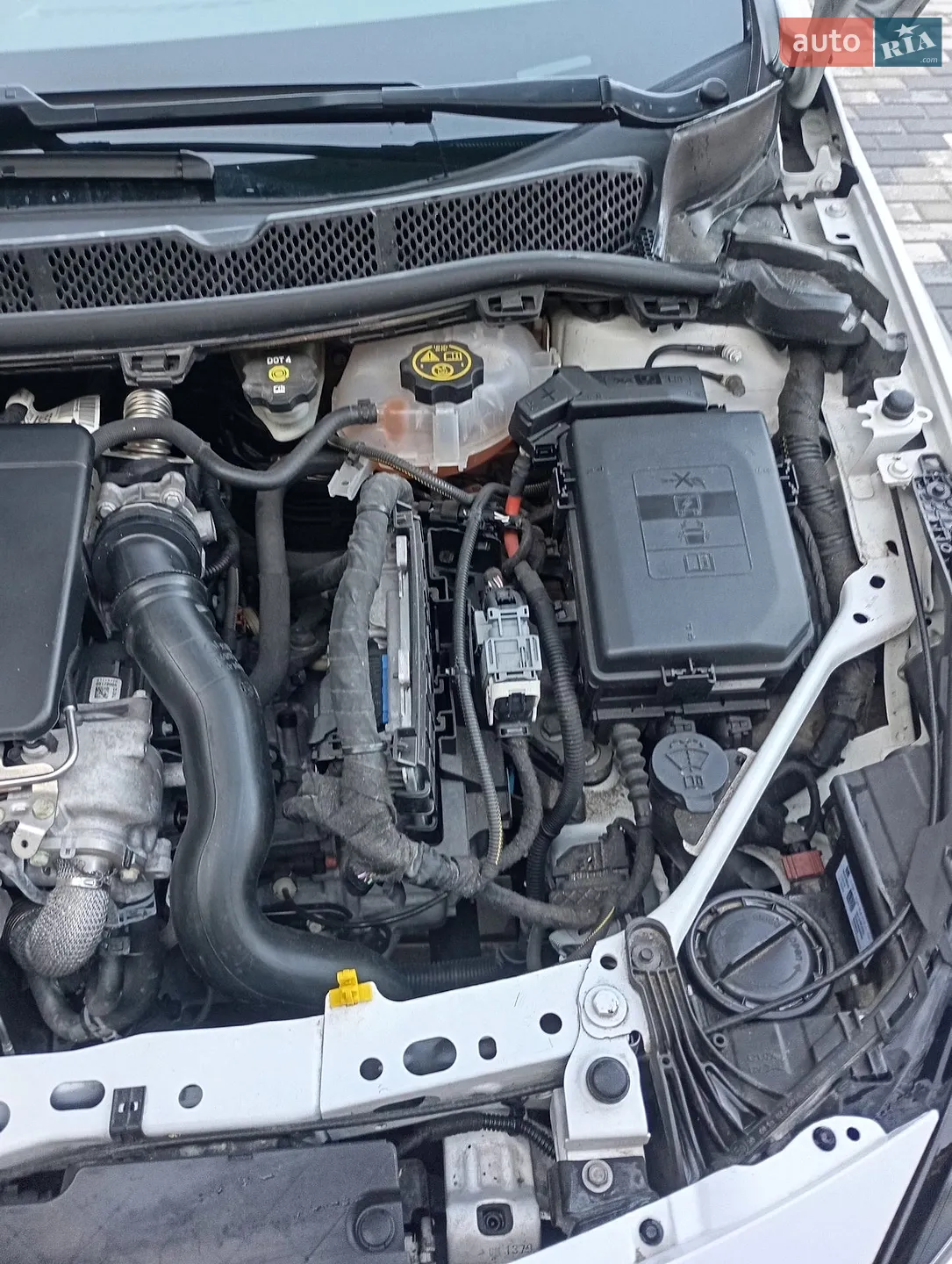 2019 Opel Astra - мініатюра 33