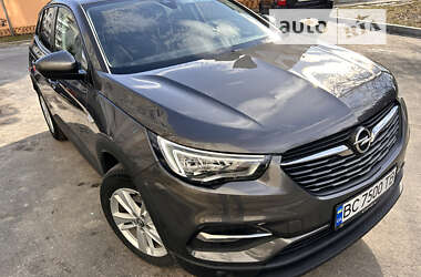 Позашляховик / Кросовер Opel Grandland X 2020 в  фото 5 Позашляховик / Кросовер Opel Grandland X 2020 в