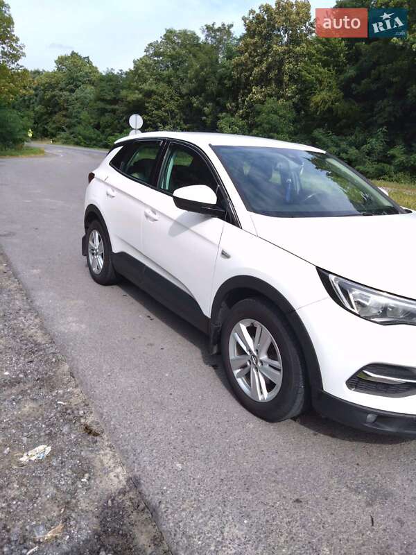 Внедорожник / Кроссовер Opel Grandland X 2019 в Красилове