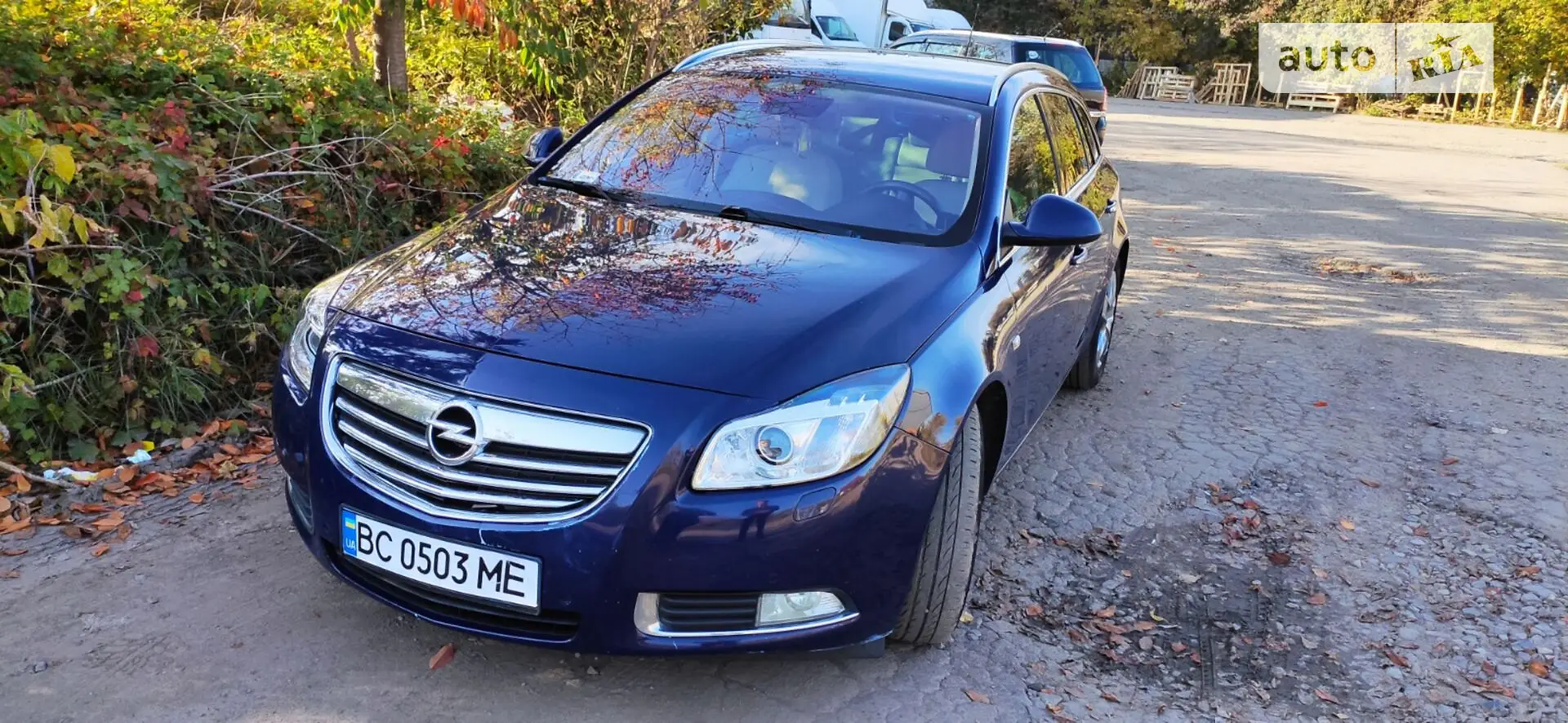 2010 Opel Insignia - мініатюра 9