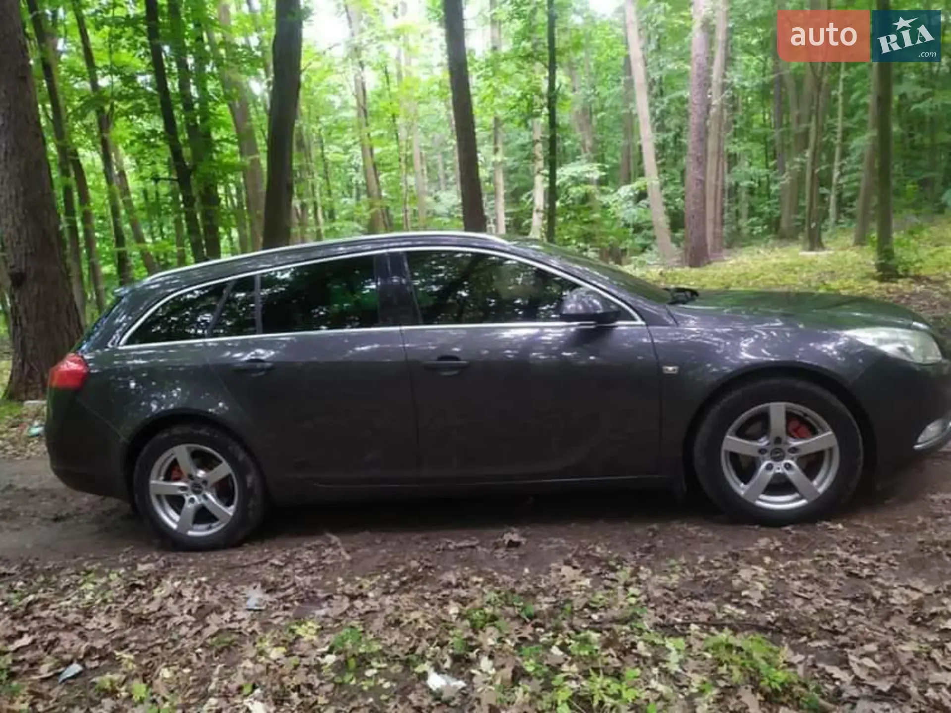 2010 Opel Insignia - мініатюра 2