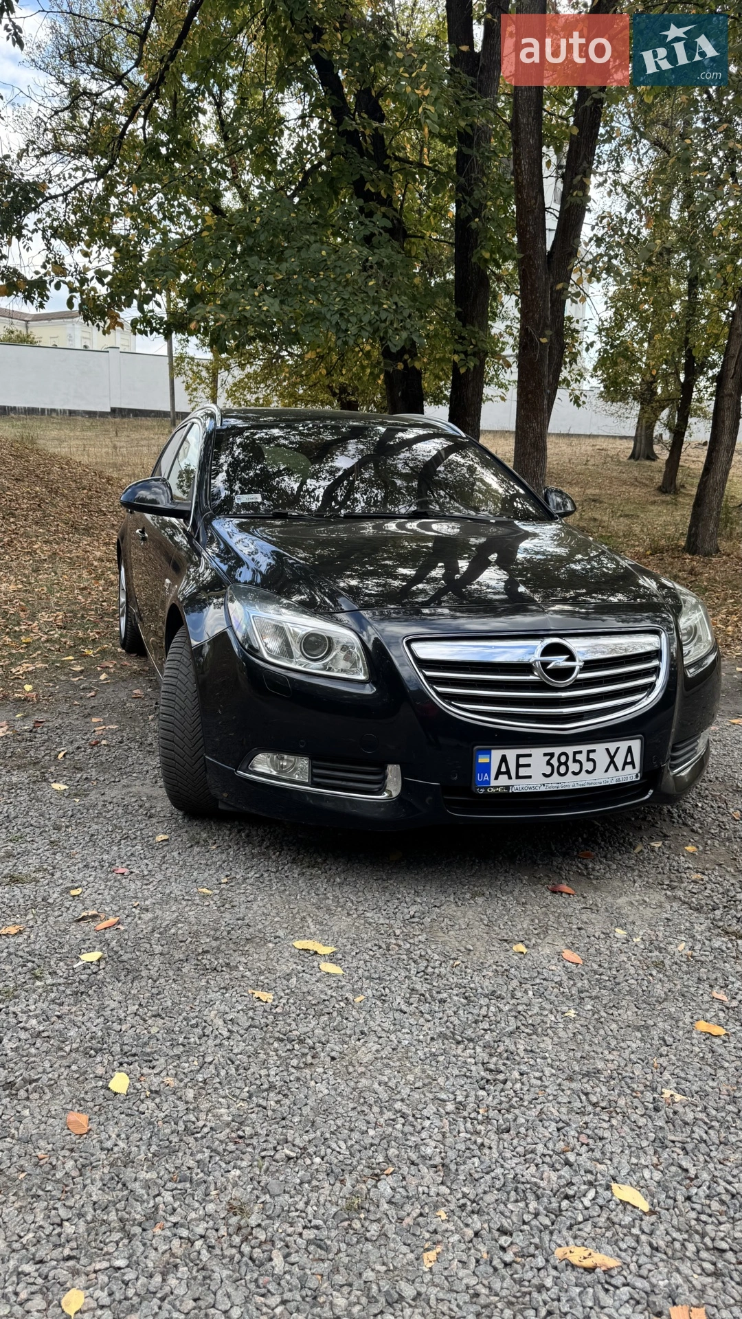2012 Opel Insignia - мініатюра 19