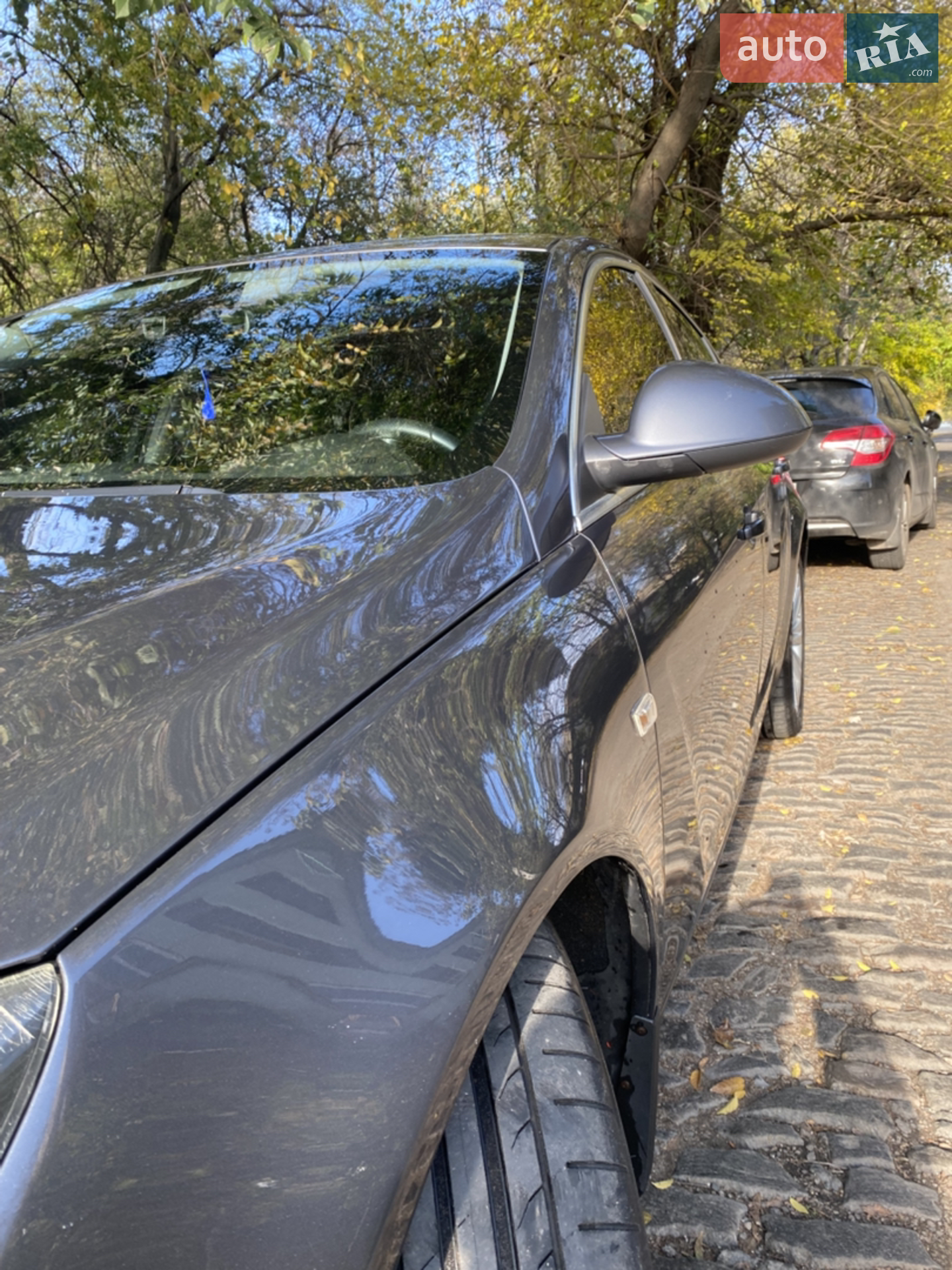 2010 Opel Insignia - мініатюра 4