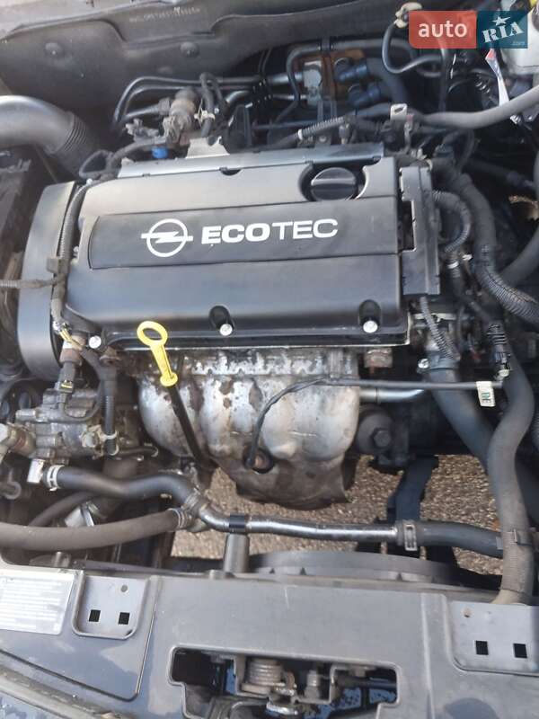 Лифтбек Opel Insignia 2009 в Владимире фото 40 Лифтбек Opel Insignia 2009 в Владимире