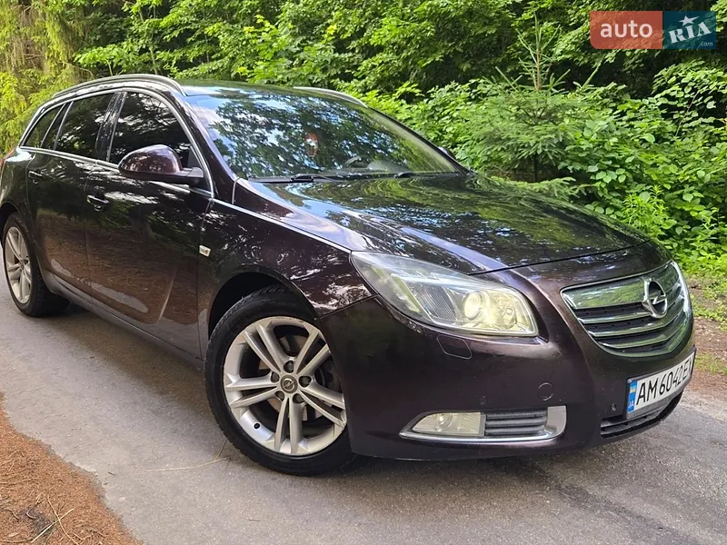 Opel Insignia 2010 VIN W0LGT8EE2A1054368 фото оголошення 26 з 55