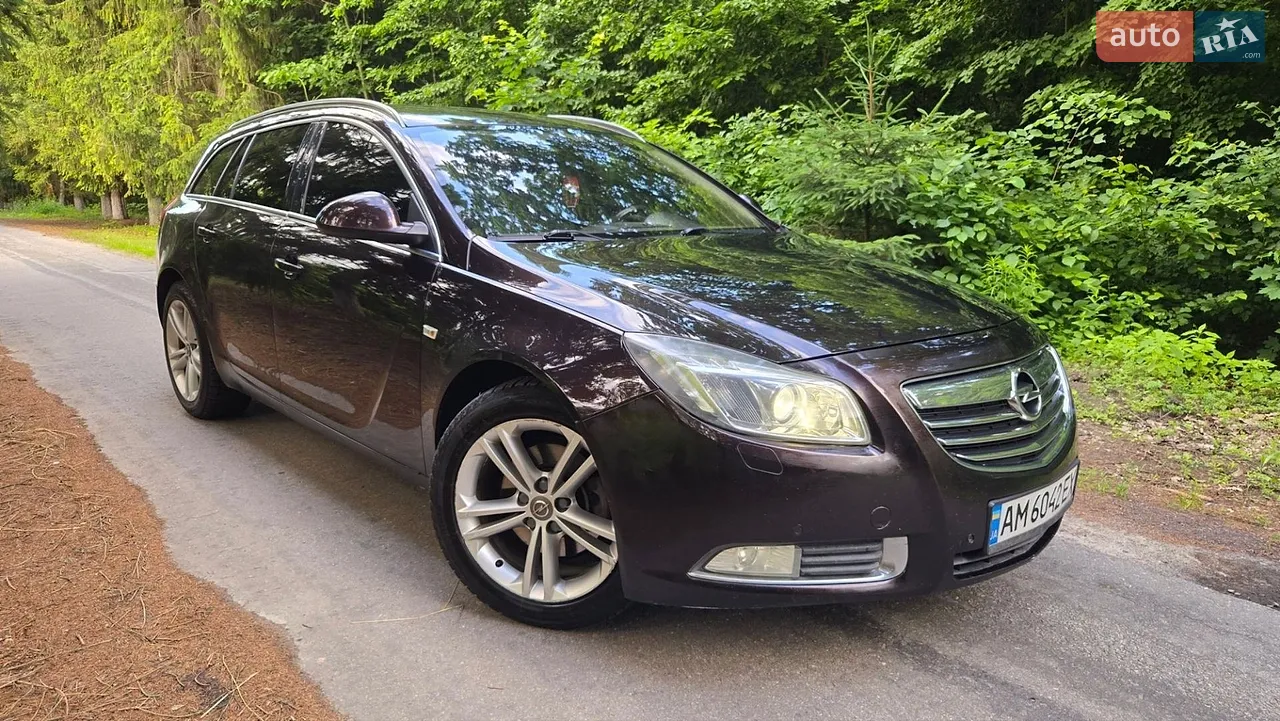 2010 Opel Insignia - мініатюра 14