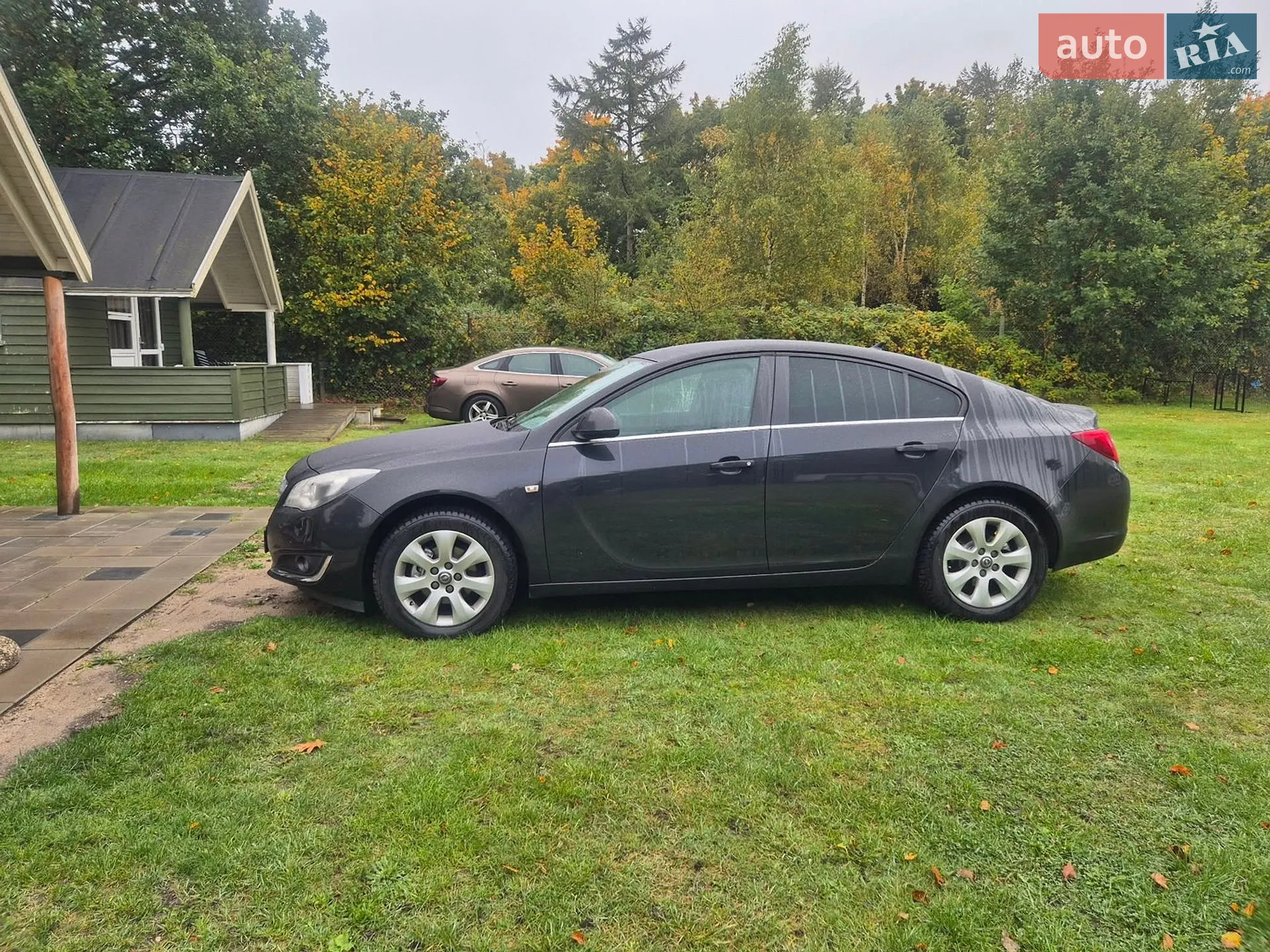 2013 Opel Insignia - мініатюра 6