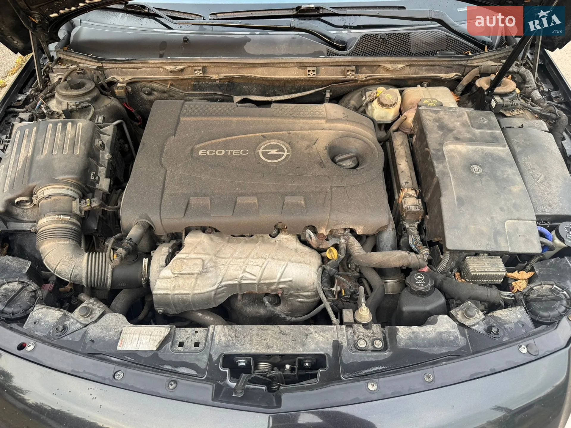 Opel Insignia 2010 VIN W0LGT8EM3B1069695 фото оголошення 13 з 13
